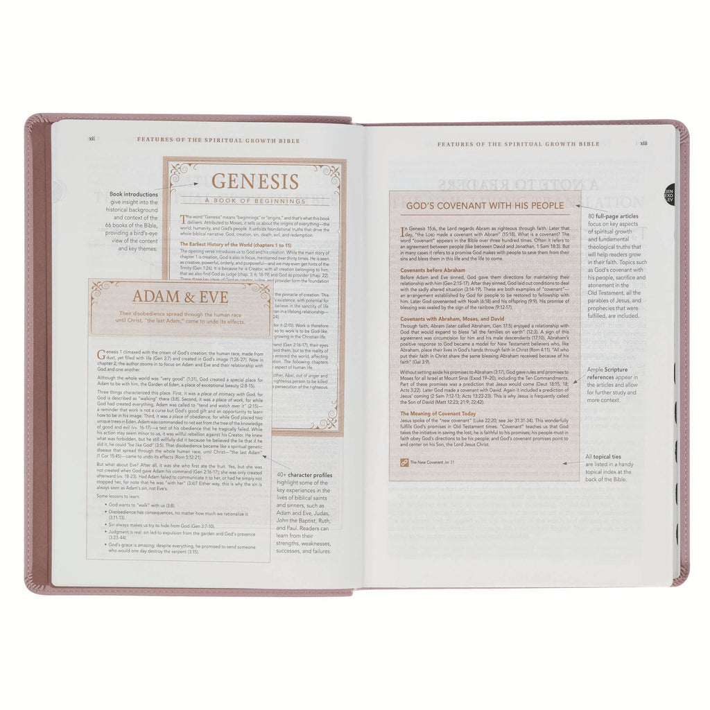 NLT New Living Translation Bible, Spiritual Growth Edition in Dusty Mauve