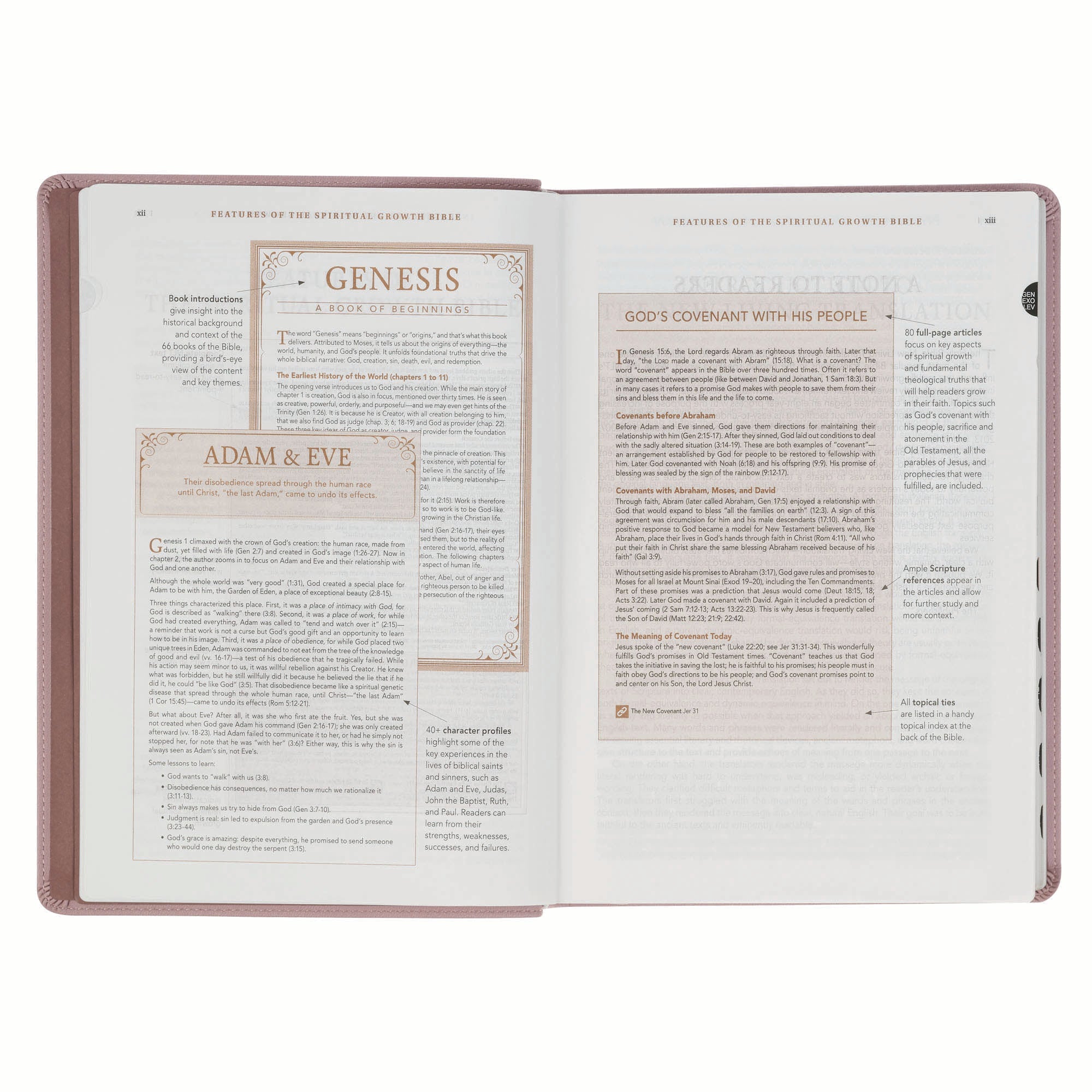 NLT New Living Translation Bible, Spiritual Growth Edition in Dusty Mauve