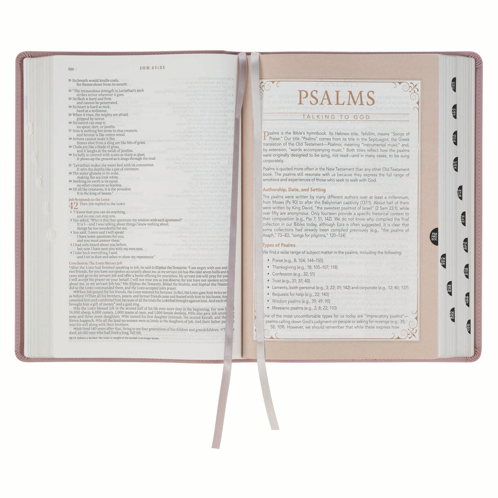NLT New Living Translation Bible, Spiritual Growth Edition in Dusty Mauve