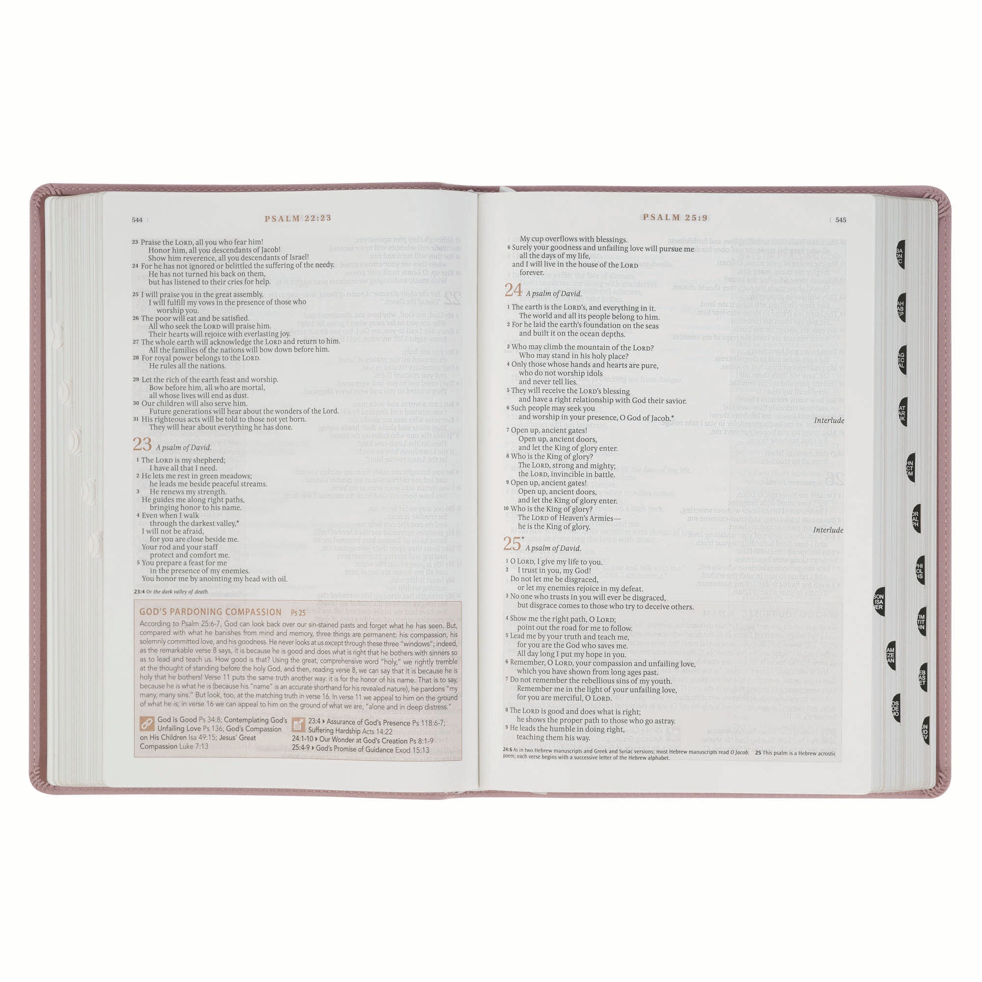 NLT New Living Translation Bible, Spiritual Growth Edition in Dusty Mauve