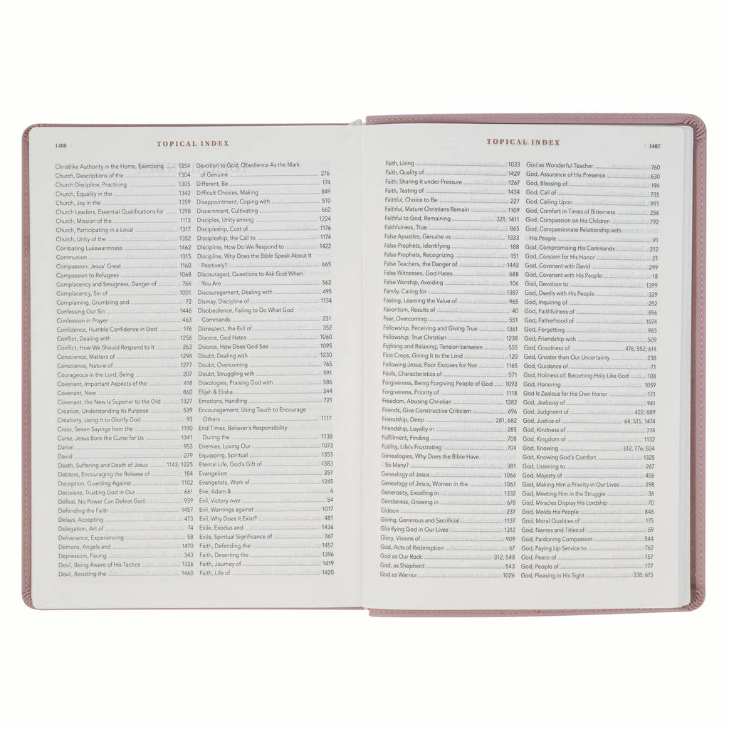 NLT New Living Translation Bible, Spiritual Growth Edition in Dusty Mauve