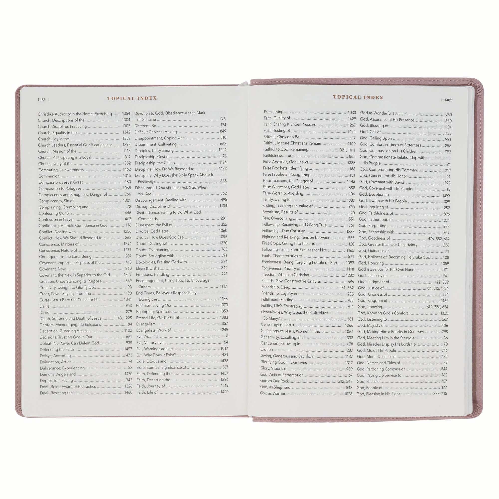 NLT New Living Translation Bible, Spiritual Growth Edition in Dusty Mauve