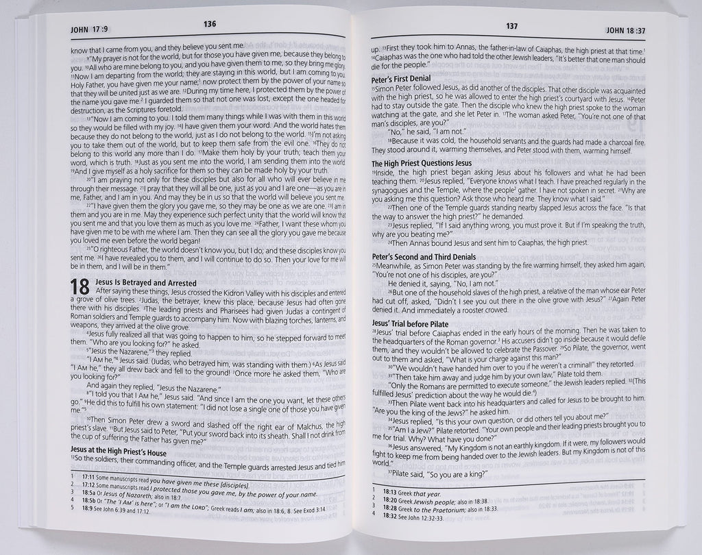 Pages of NLT Jesus and You New Testament Bible
