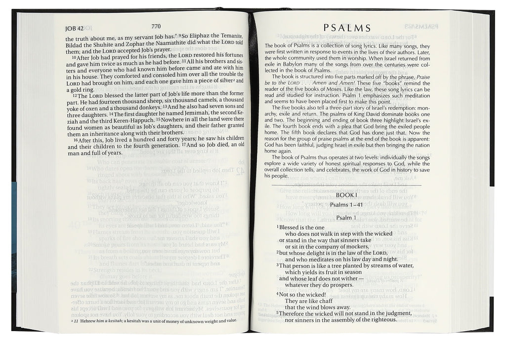 Full page view of NIV Black Pew Bible with large print