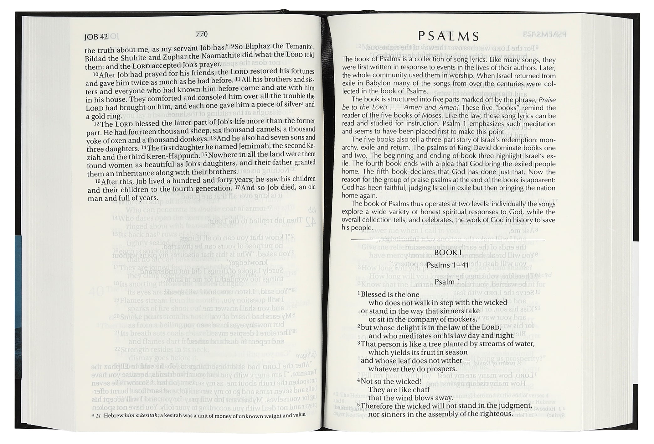 Full page view of NIV Black Pew Bible with large print