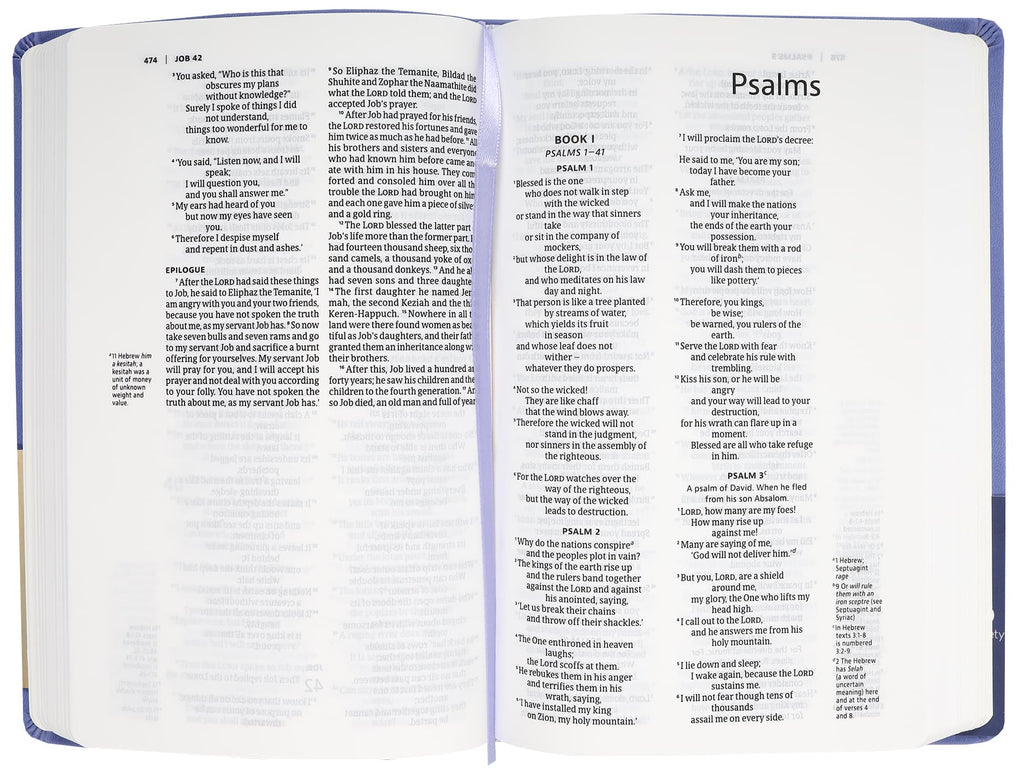 NIV Slimline Bible Blue Lavender Book Layout and Typography