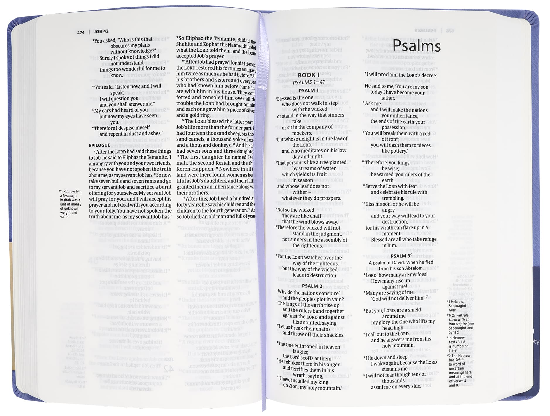 NIV Slimline Bible Blue Lavender Book Layout and Typography