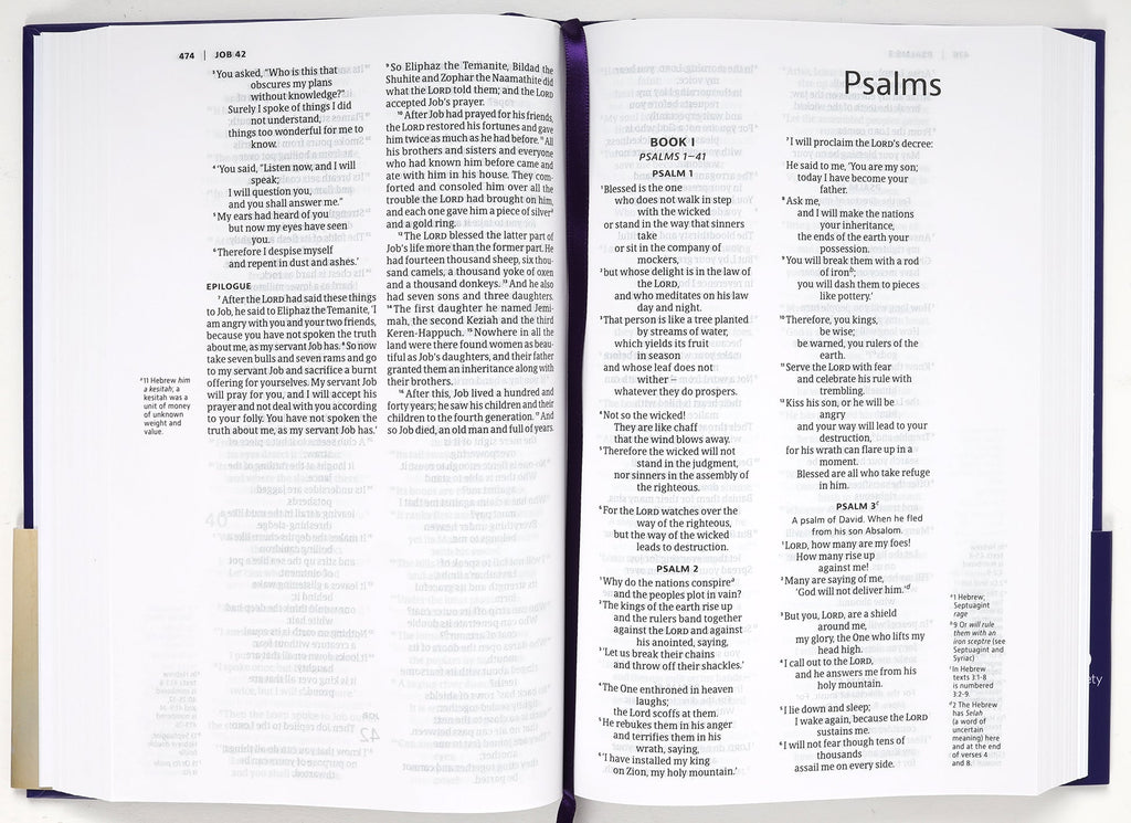NIV Anglicised Black Letter Edition Ultraviolet Slimline Bible open