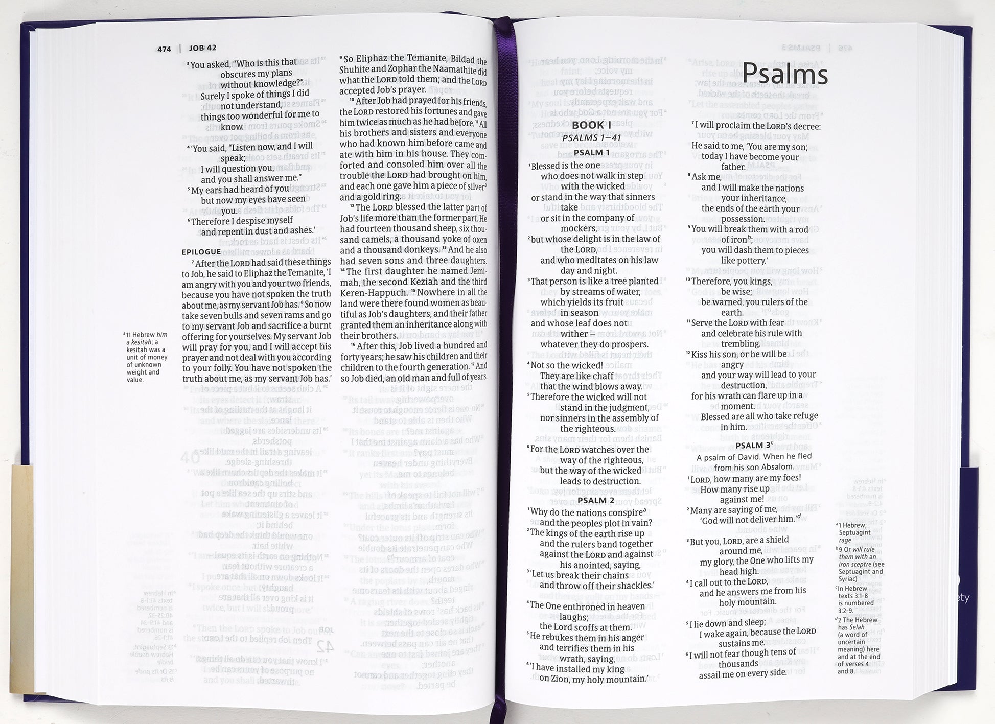 NIV Anglicised Black Letter Edition Ultraviolet Slimline Bible open