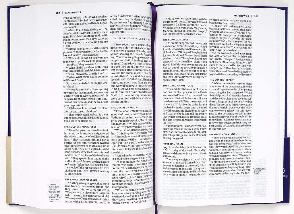 NIV Slimline Bible Ultraviolet (Anglicised) (Black Letter Edition)
