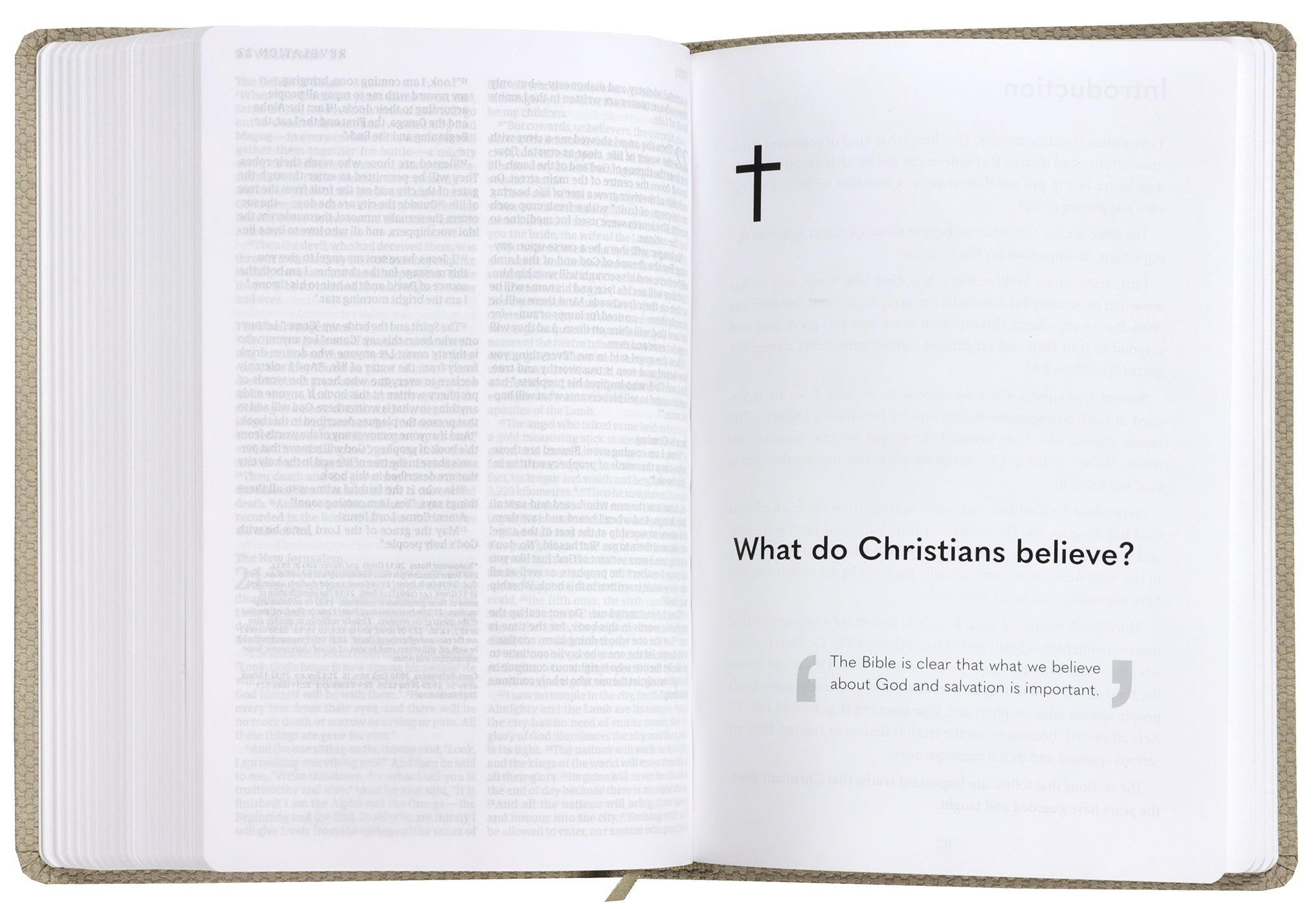 NLT New Beginnings Bible (Anglicised) Natural