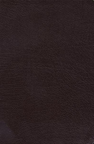 NKJV The Charles F. Stanley Life Principles Bible, burgundy edition, featuring the life principles of Charles Stanley.