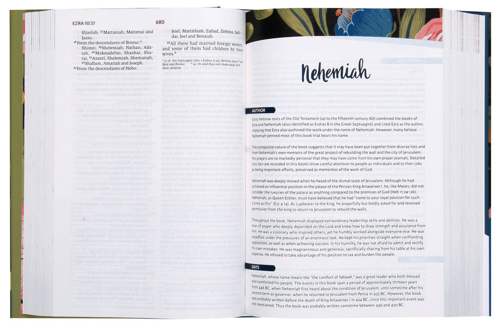 Beautifully Illustrated NIV Woman's Study Bible