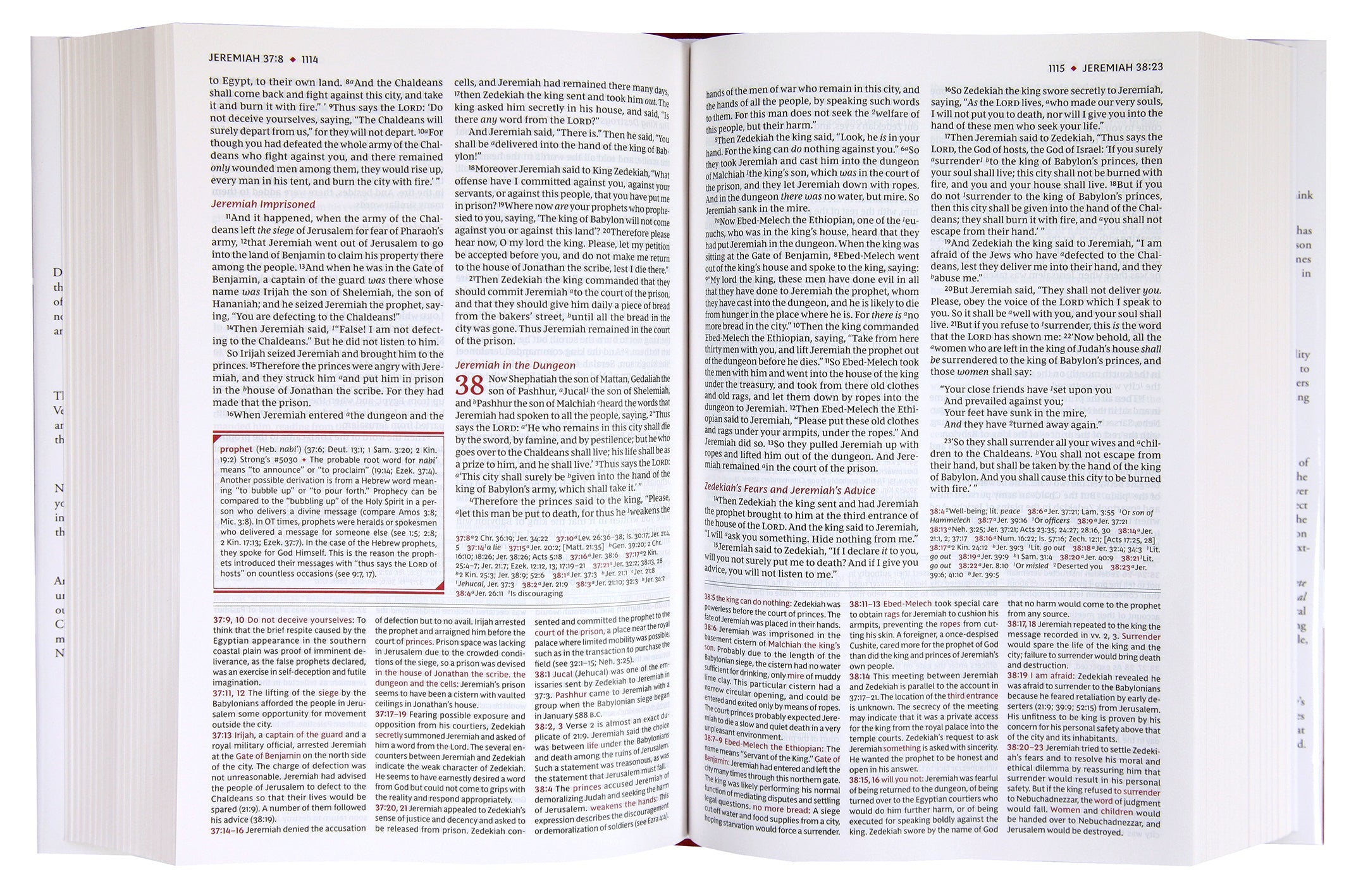 NKJV Study Bible Black Letter Edition with brown leather binding