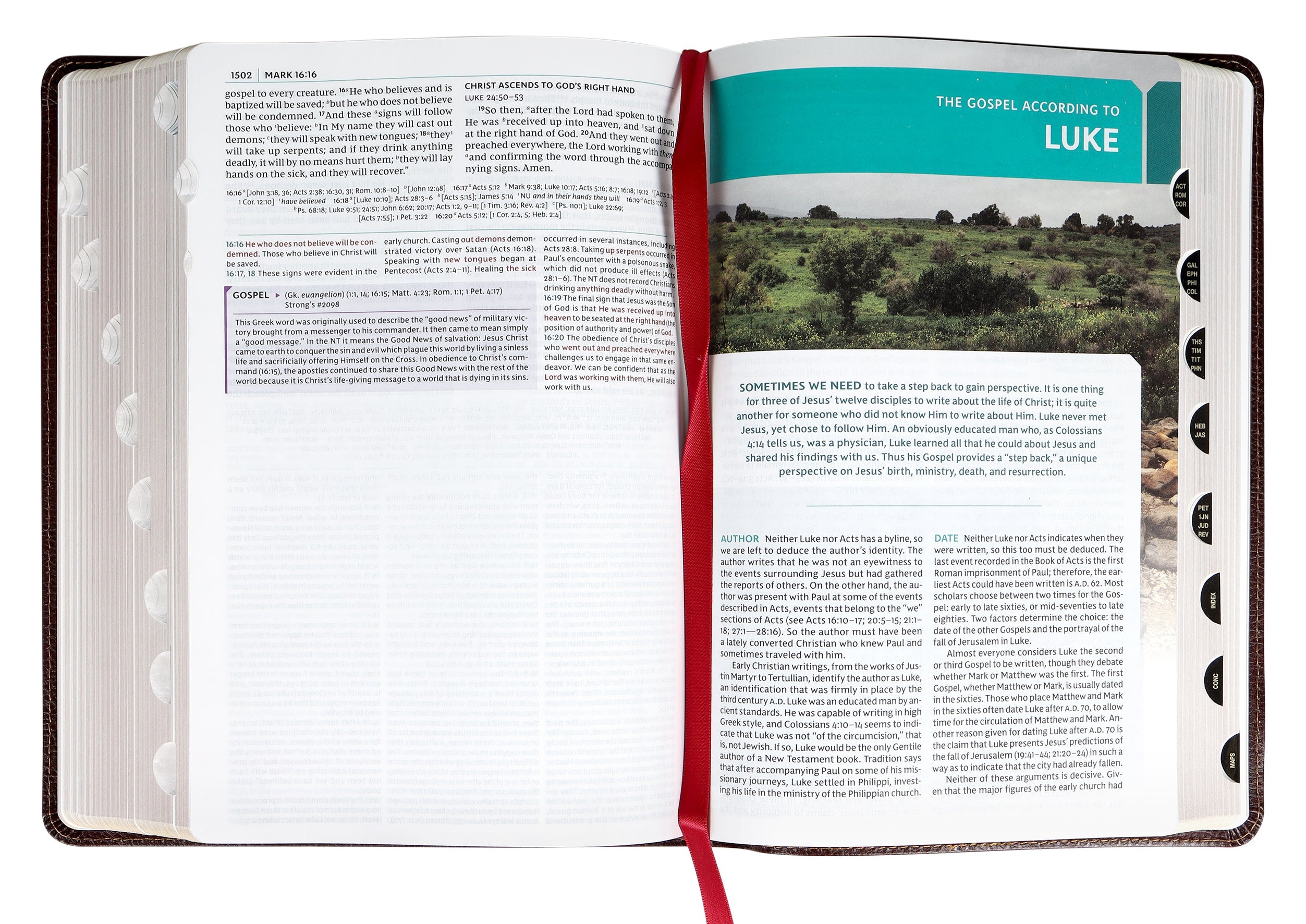 NKJV Study Bible Burgundy Full-Color Indexed (Black Letter Edition)