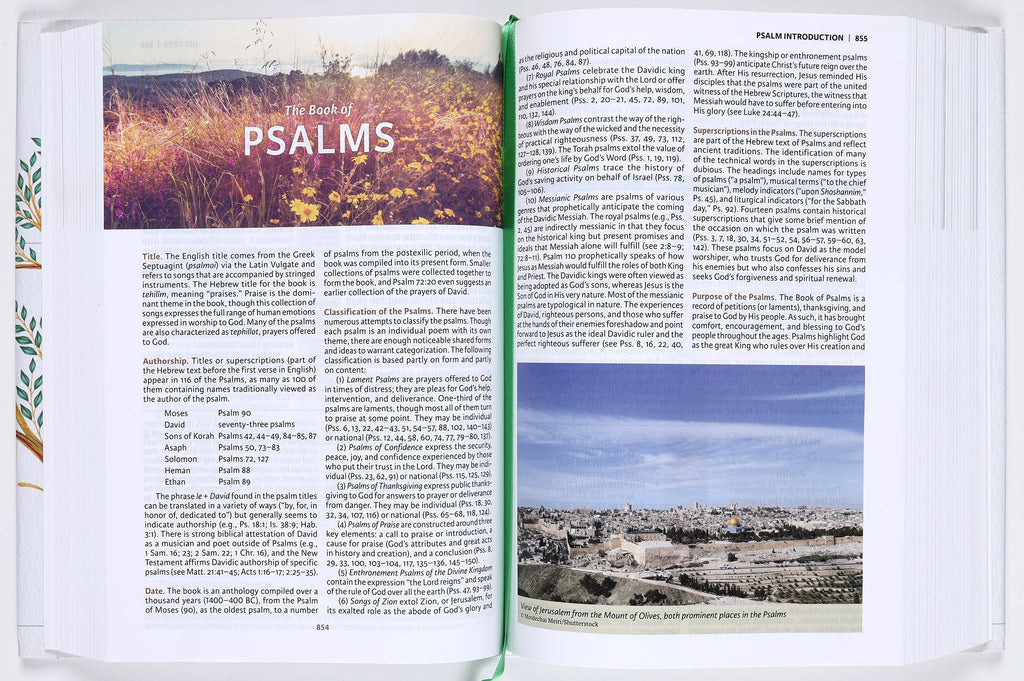 NKJV Evangelical Study Bible (Red Letter Edition)