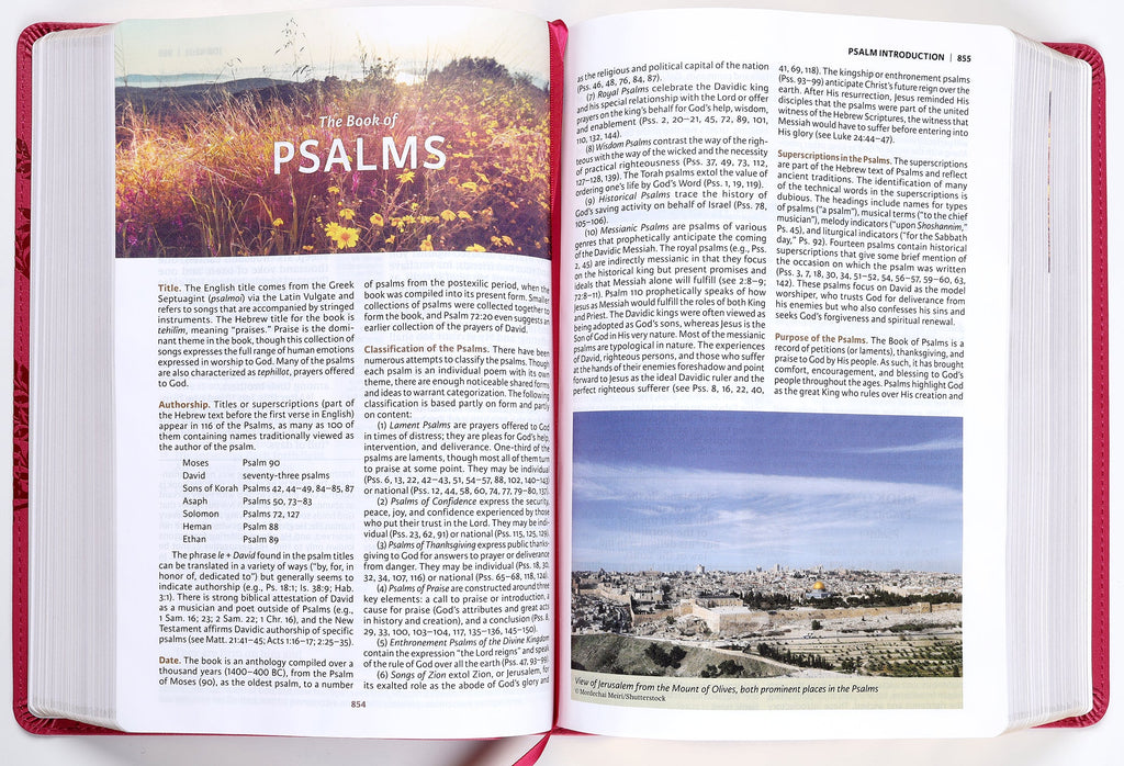 Buy NKJV Study Bible Online - NKJV Evangelical Edition