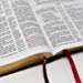 NKJV Brown Verse by Verse Reference Bible with Red Letter