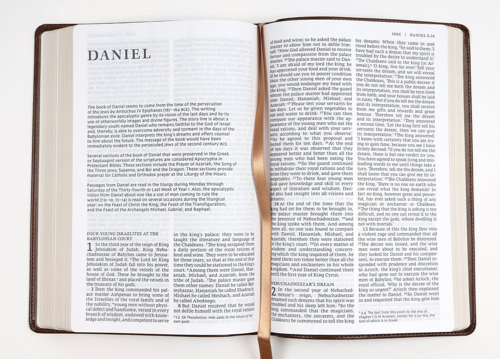 NRSV Catholic Bible Large Print Brown