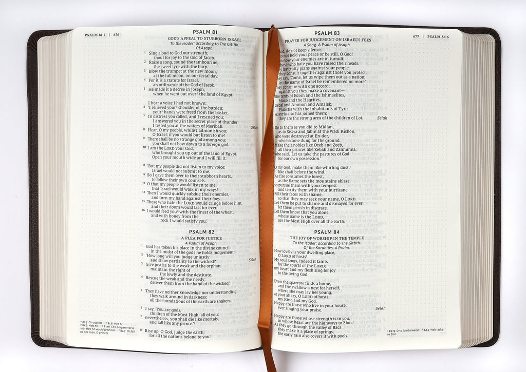 NRSV Catholic Bible Journal Edition Brown (Anglicised)