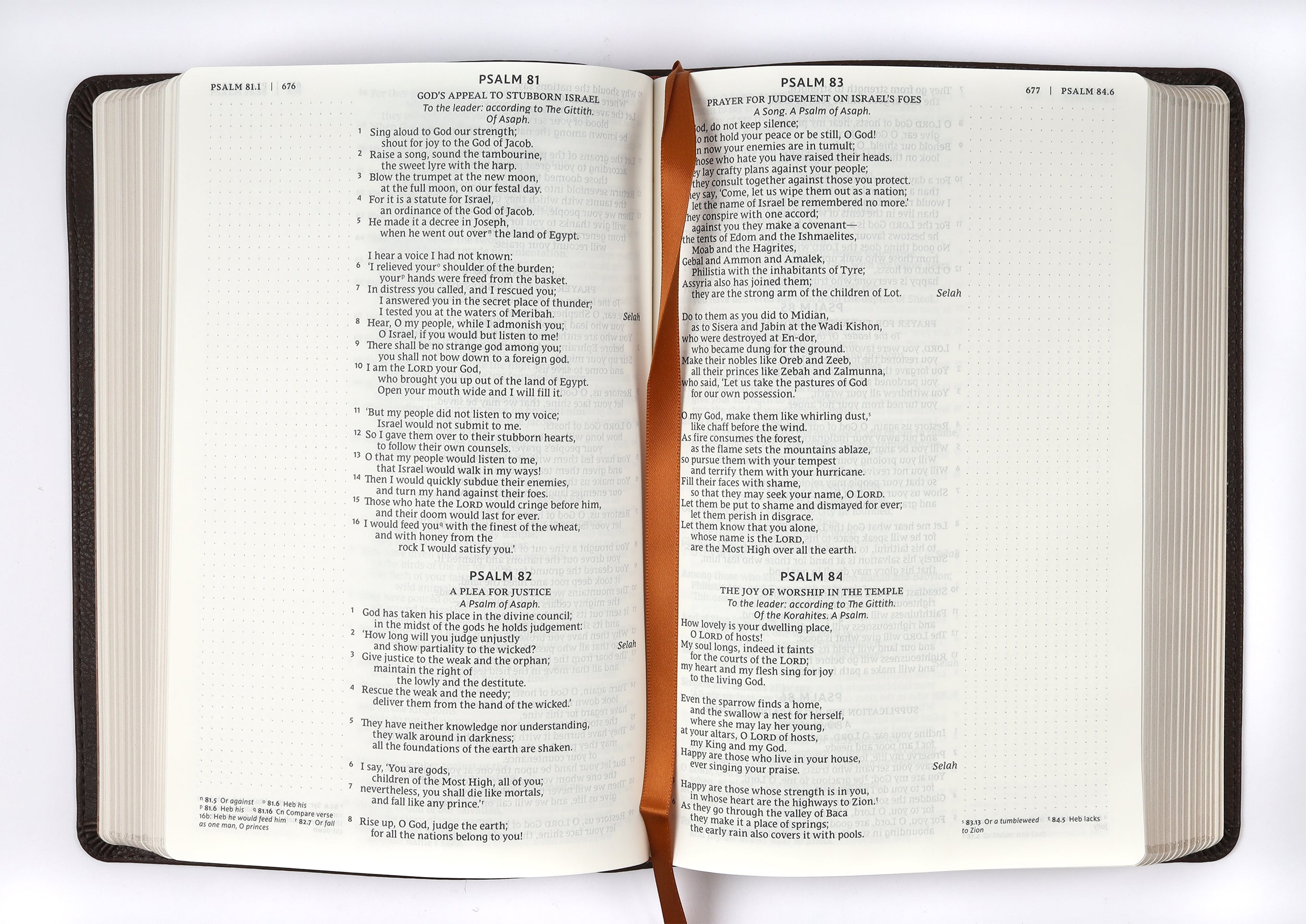 NRSV Catholic Bible Journal Edition Brown (Anglicised)