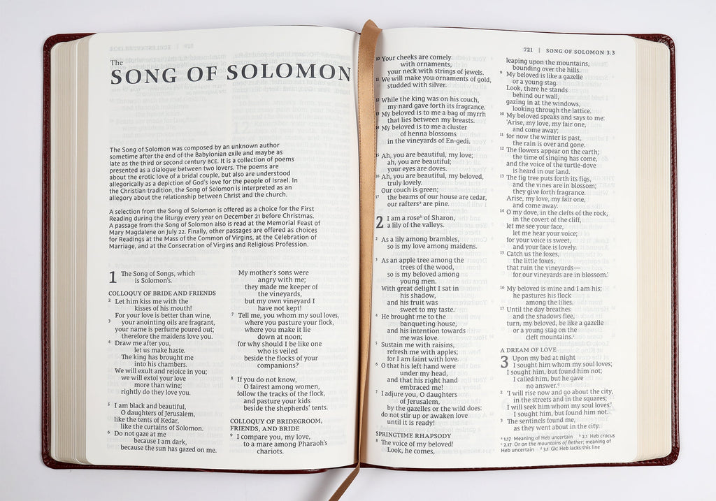 Red letter edition NRSV Catholic Bible in large print format