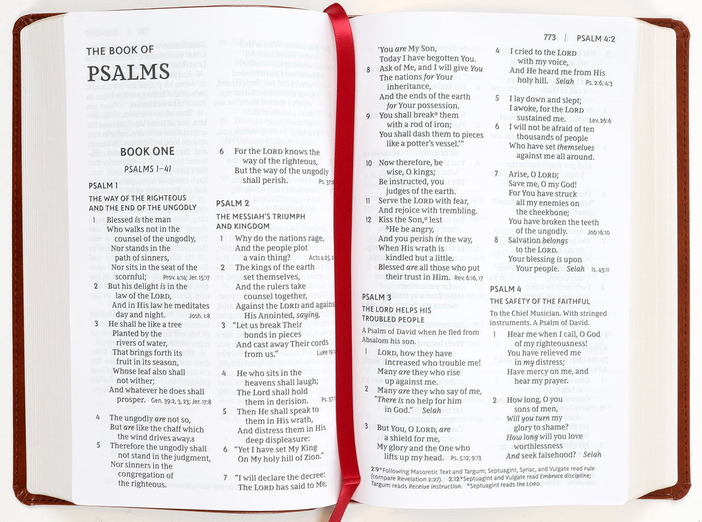 NKJV Personal Size Large Print Reference Bible for personal study