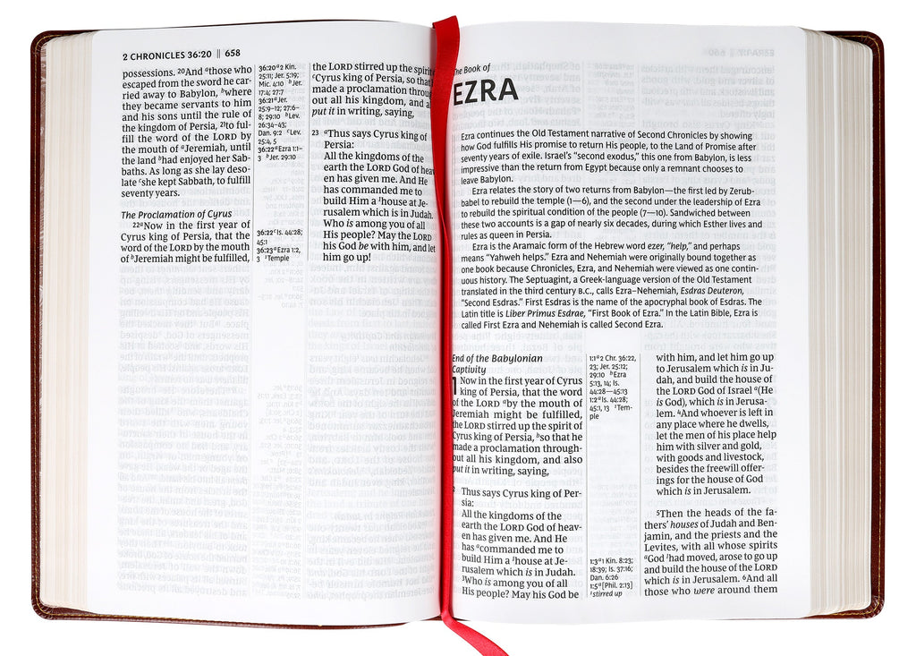 NKJV New King James Version Reference Bible in brown giant print.