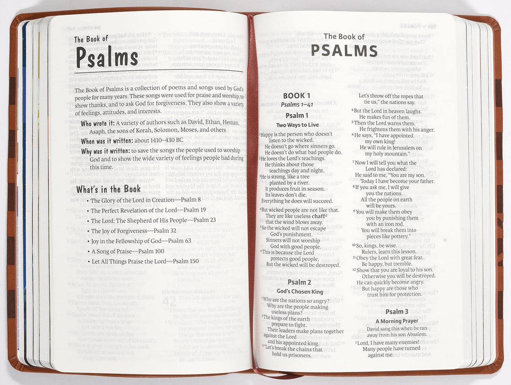 Kid-friendly ICB Holy Bible, featuring stories and teachings for young Christians
