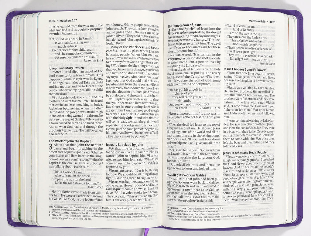 ICB Holy Bible Purple
