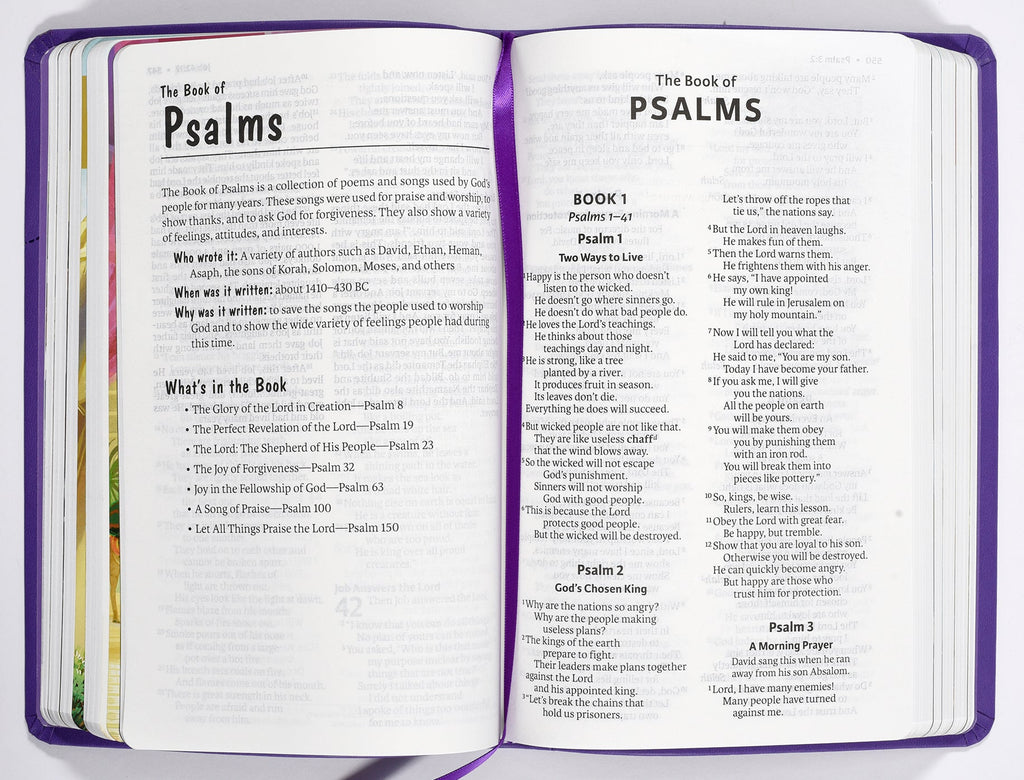 ICB Holy Bible Purple