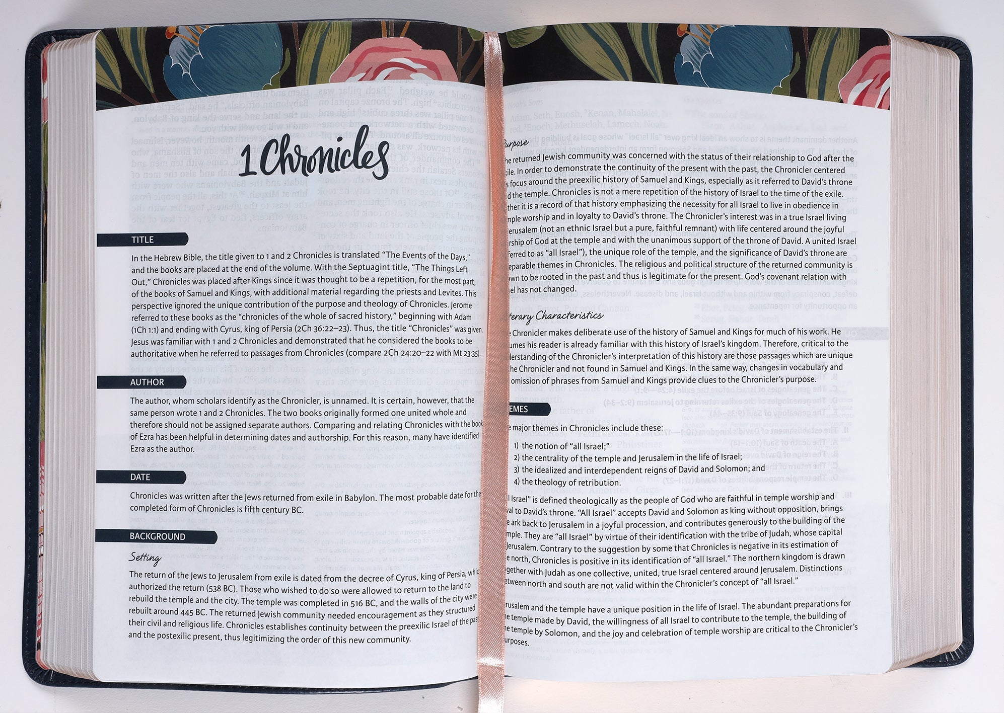 Woman reading the NIV Woman's Study Bible Blue