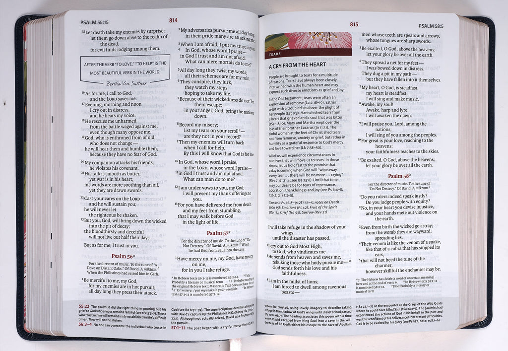 NIV Woman's Study Bible Blue with devotionals and prayers
