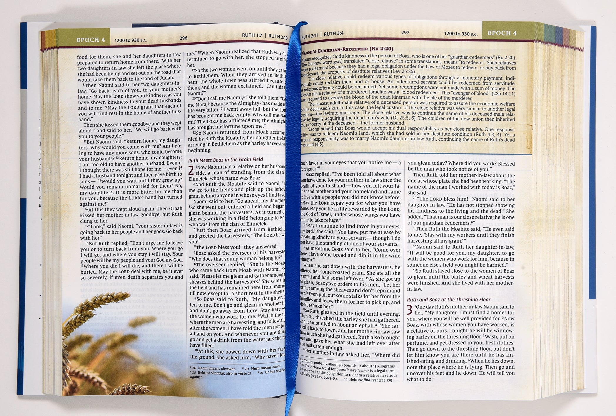 NIV Chronological Study Bible Black