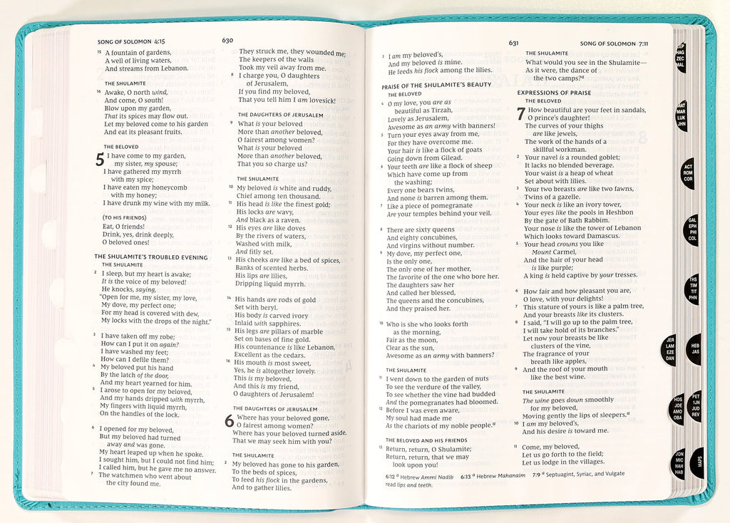 NKJV Thinline Bible Verse Art Cover Collection Teal Thumb Indexed (Red Letter Edition)