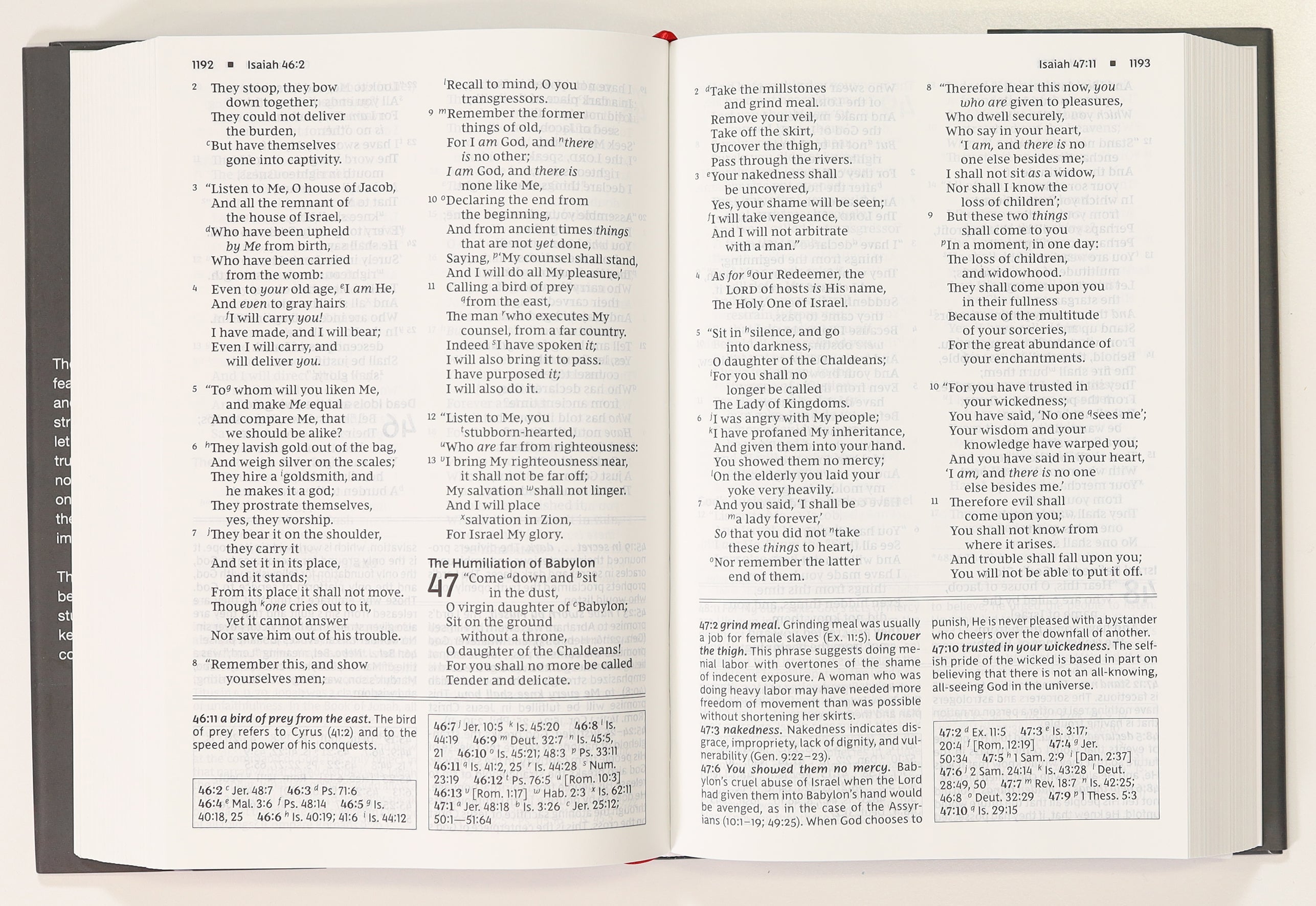 NKJV Foundation Study Bible Large Print (Red Letter Edition)