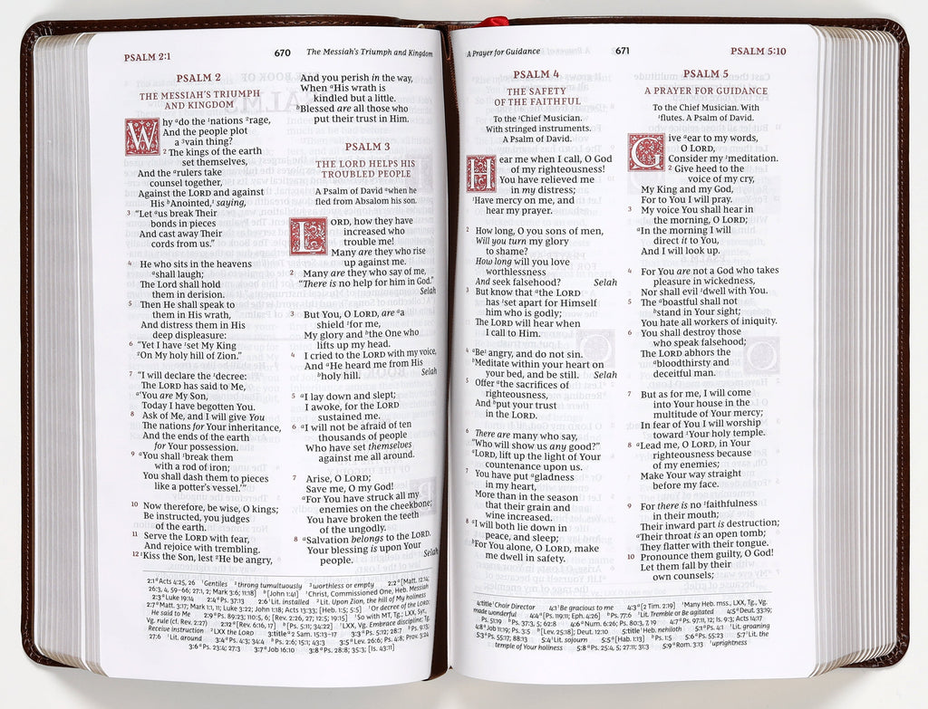 NKJV Personal Size Reference Bible Sovereign Collection Brown (Red Letter Edition)