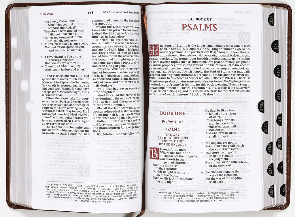 NKJV red letter edition Bible in brown leather, personal size