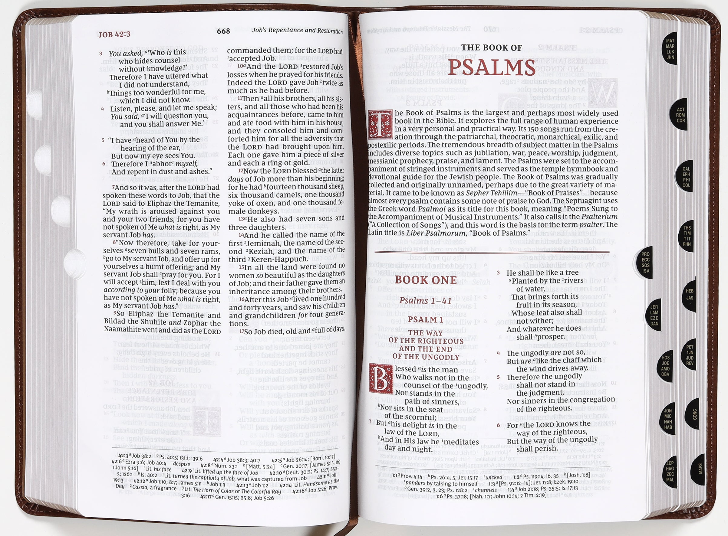 NKJV red letter edition Bible in brown leather, personal size