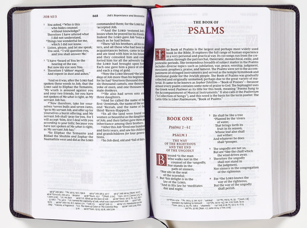 Sovereign Collection NKJV Personal Size Reference Bible in Purple