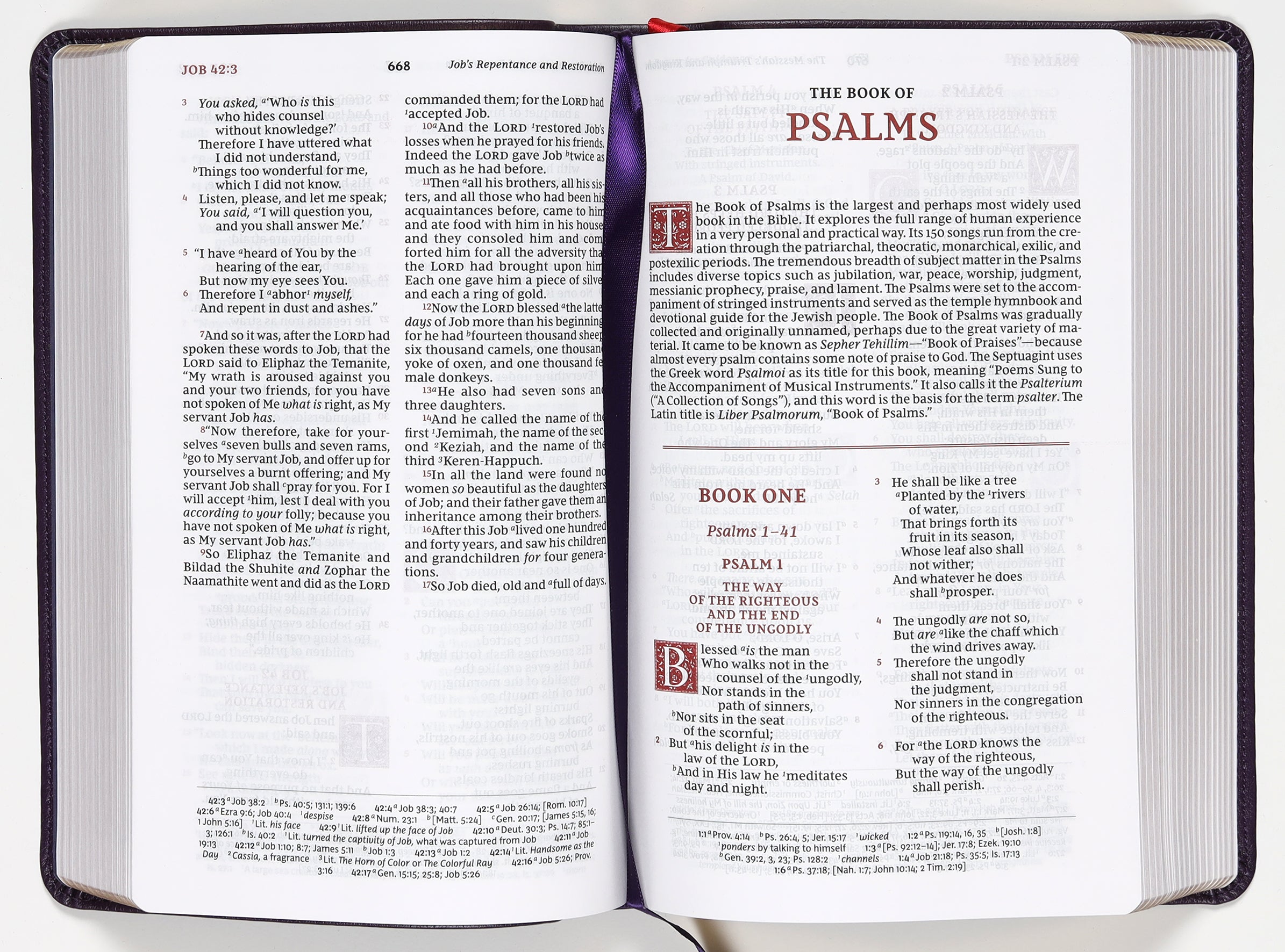 Sovereign Collection NKJV Personal Size Reference Bible in Purple