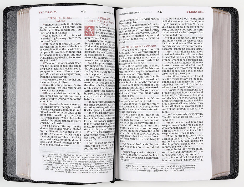 Sovereign Collection NKJV Personal Size Reference Bible for Study & Worship