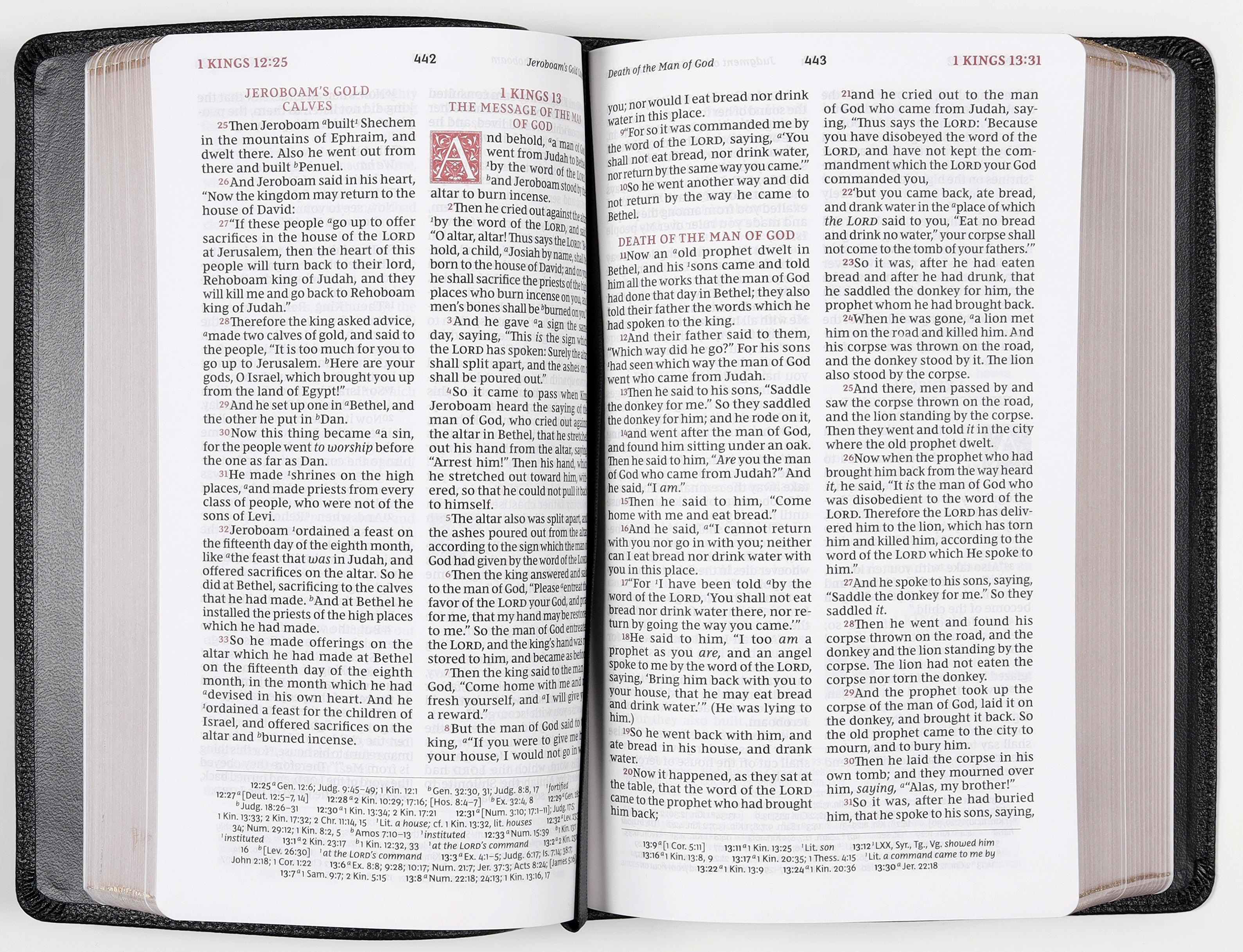 Sovereign Collection NKJV Personal Size Reference Bible for Study & Worship