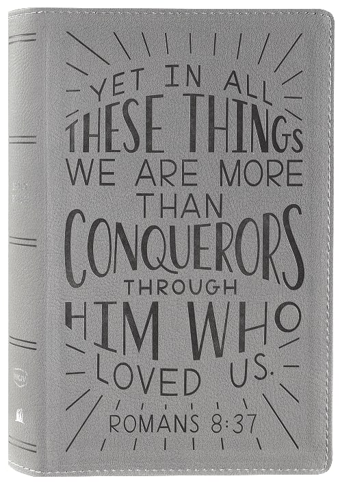NKJV Holy Bible for Kids - Verse Art Cover Collection, featuring a gray, kid-friendly Bible design