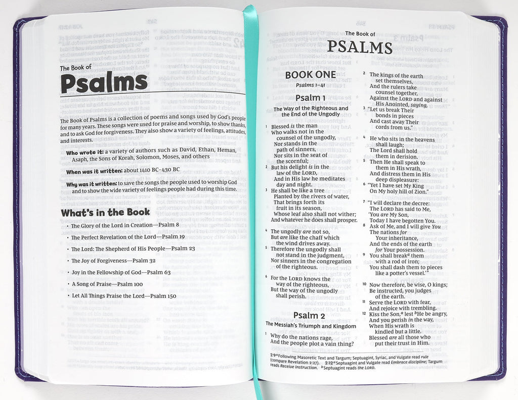 Purple Verse Art NKJV Holy Bible for Kids Kids Bible