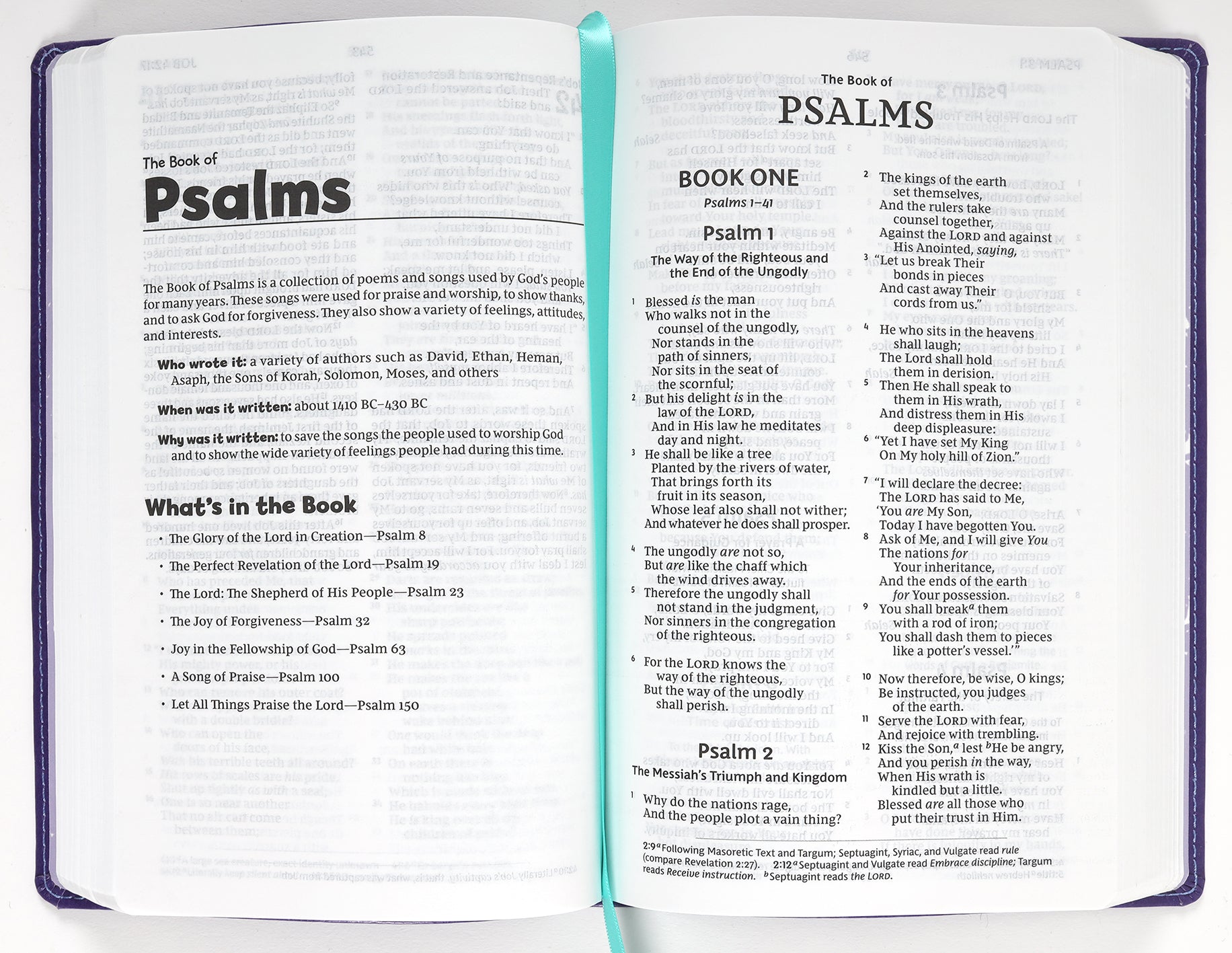Purple Verse Art NKJV Holy Bible for Kids Kids Bible