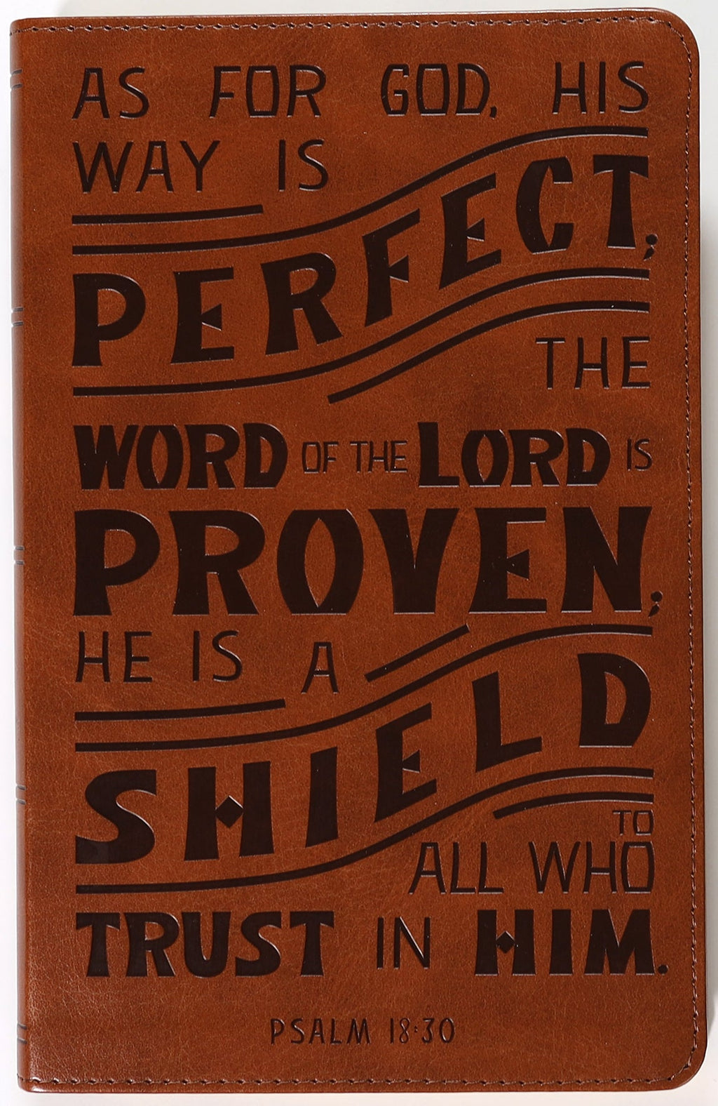NKJV Personal Size Reference Bible with verse art