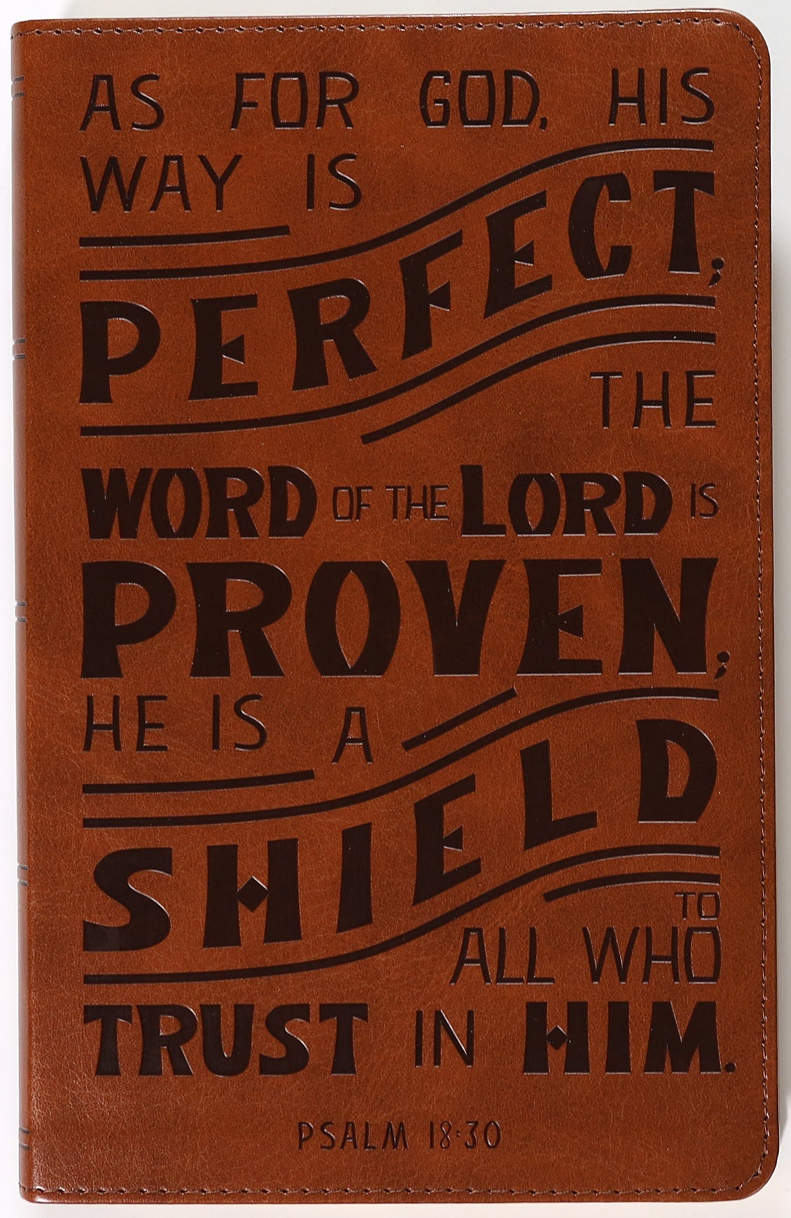 NKJV Personal Size Reference Bible with verse art