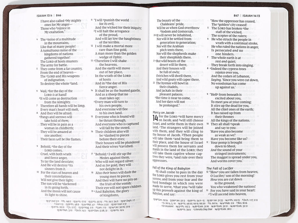 NKJV personal size reference Bible features brown verse art cover and red letter edition