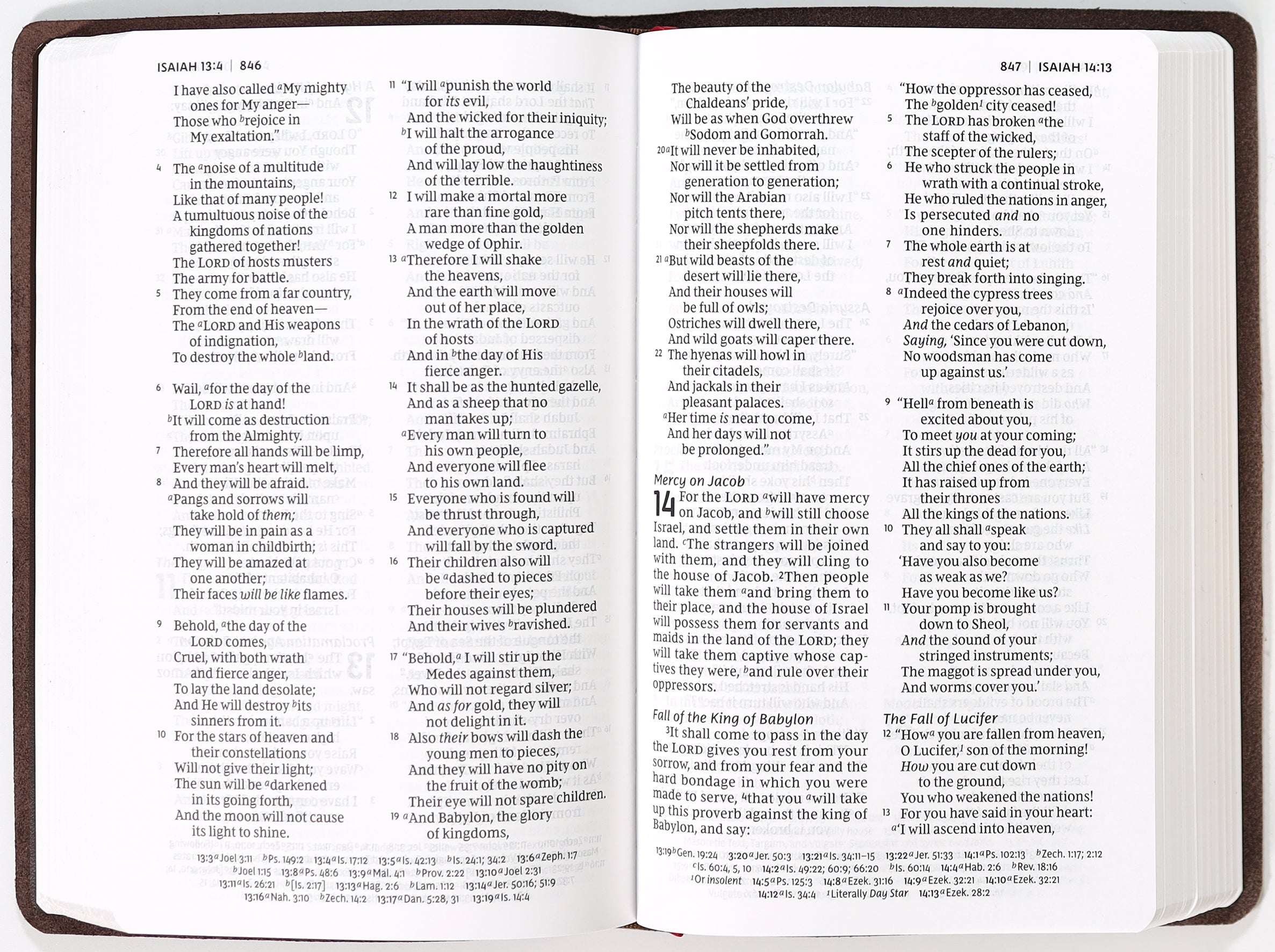 NKJV personal size reference Bible features brown verse art cover and red letter edition